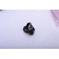 B02050038